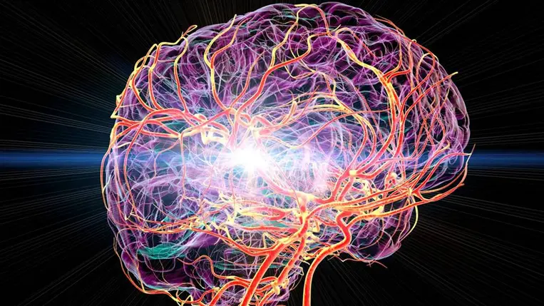 Figyelmeztetés: drámaian nőhet a stroke esélye, ha ilyen problémával küzd