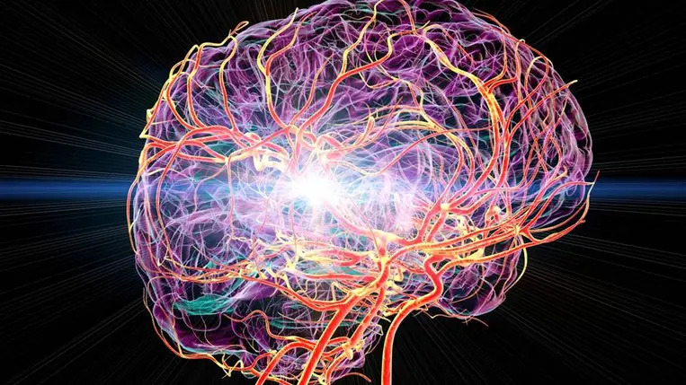 Megoldást találhattak a stroke ellen – ez az étel védhet a betegségtől