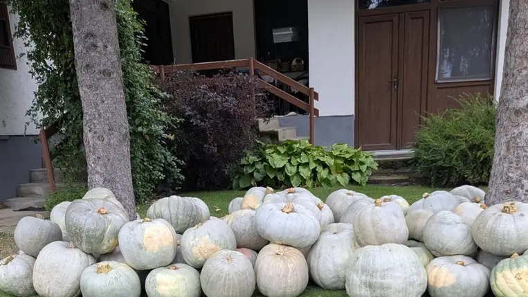 Téli tanfolyamon a kárpátaljai gazdák -Hogyan termesszünk sütőtököt? A legendás nagydobosi