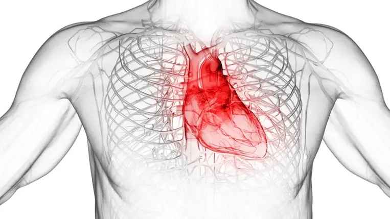 Vigyázzon: ez a laborérték közelgő infarktusra utalhat!