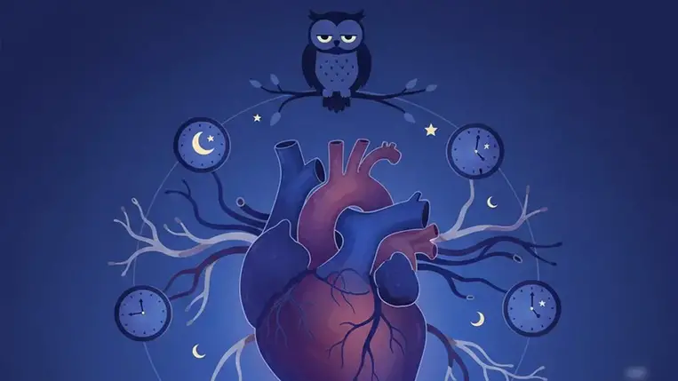 Éjszakai bagoly? Jelentős veszély fenyegeti a szívét