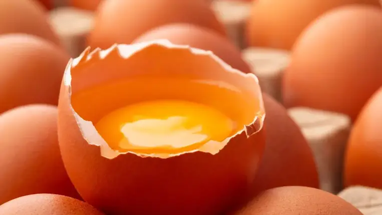 Ez történik a szervezeteddel, ha minden nap megeszel egy tojást