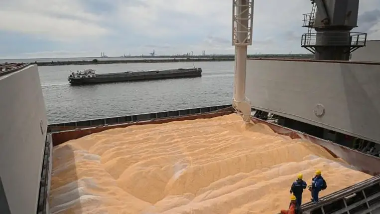 Ukrán gabonaexport. Illusztráció