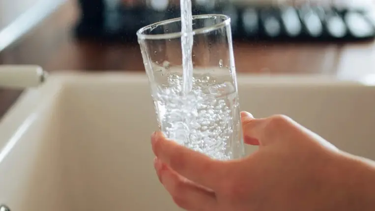 Útifűmaghéj étkezés előtt: ezért érdemes kipróbálni