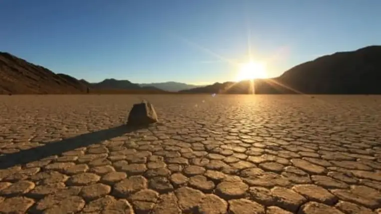 A Halál-völgy titkos növénye adhat választ a változó éghajlat kihívásaira