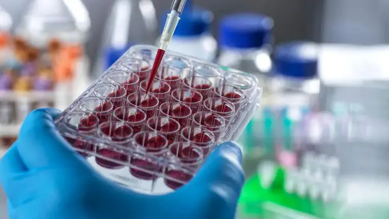 Hatalmas a baj, ha ezt kimutatják a vérében