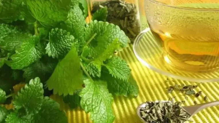 Alvászavar kezelése gyógyszerek nélkül