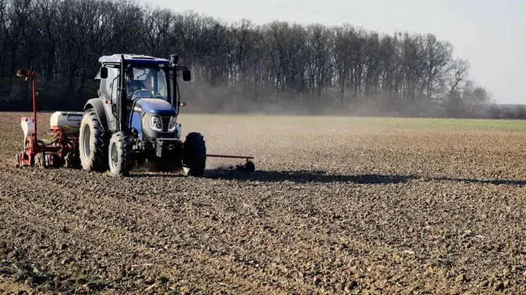 Egy hektárnyi föld átlagos értéke például Beregvidéken 27-28 ezer hrivnya között mozog. Ilyenek az árak a megye más vidékein is. 