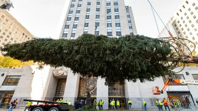 Megérkezett New Yorkba a Rockefeller Center 24 méteres karácsonyfája