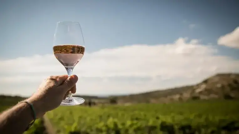 Meg fog lepődni, mely országokban isszák a legtöbb alkoholt