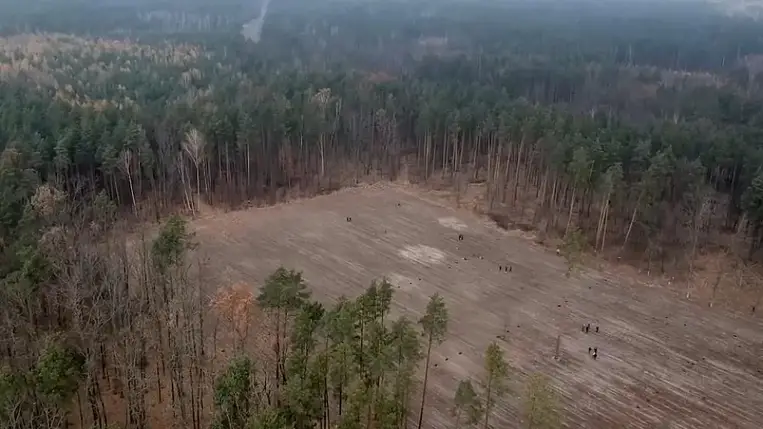 Ukrajna nagyszabású faültetésbe kezdett, a projektet sokan megkérdőjelezik
