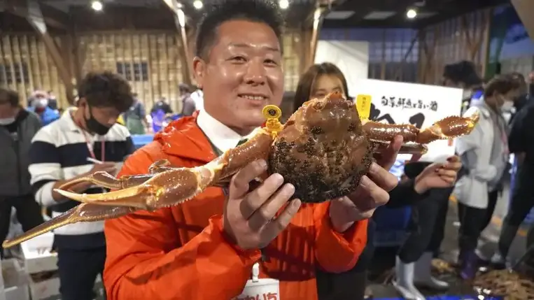 Rekordáron kelt el egy ínyencfalatnak számító jeges-tengeri pók