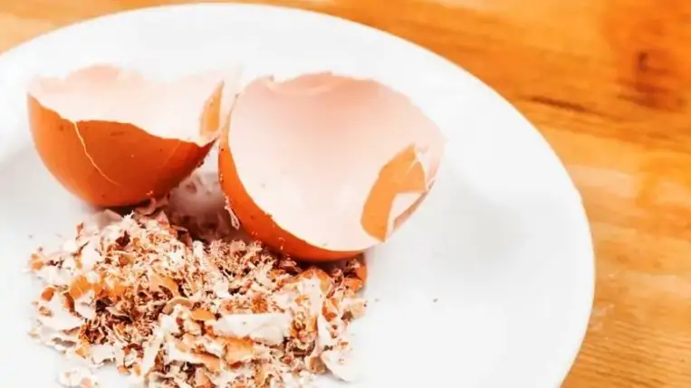 Mutatjuk, mi mindenre jó a tojáshéj