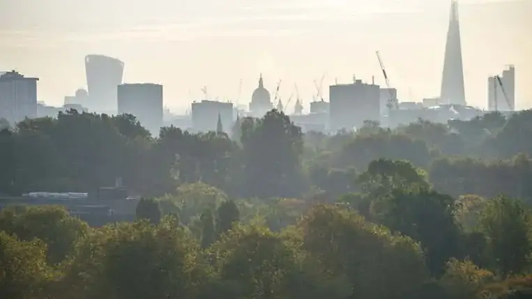 A fák a városok talajfelszíni hőmérsékletét 12 Celsius-fokkal hűtik