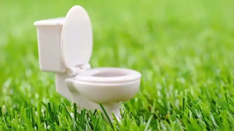 A vizeletünk erről árulkodik