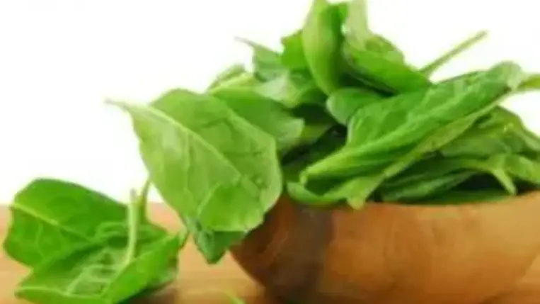 A gyógyító ételek ABC-je