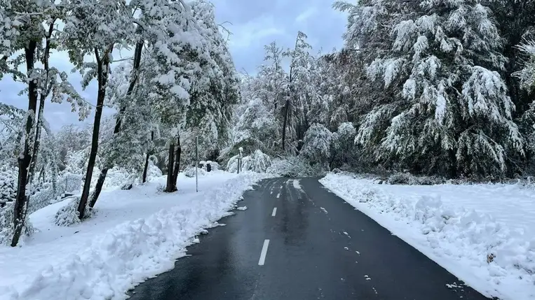 Közel negyven centiméteres hó borította a Bükk legmagasabb csúcsait