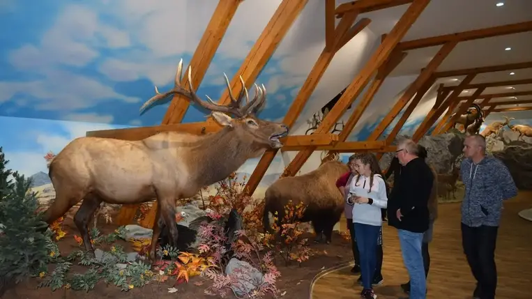 Borvidékek bemutatkozása Vásárosnaményban