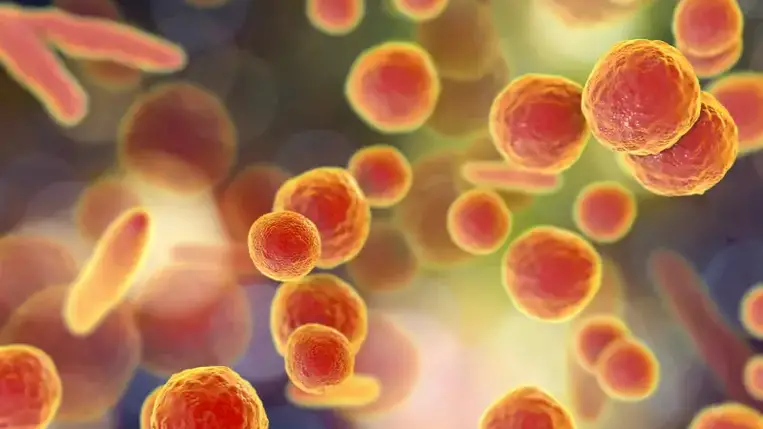 Baktériumfegyverek készülnek egy európai laborban