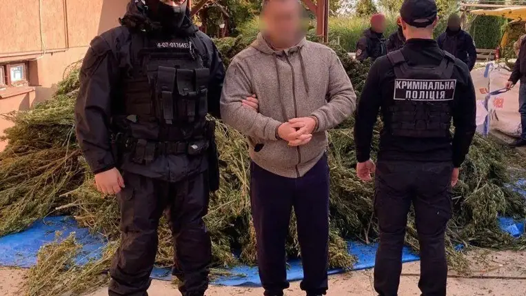 Csaknem 300 kg kendert foglaltak le Kárpátalján