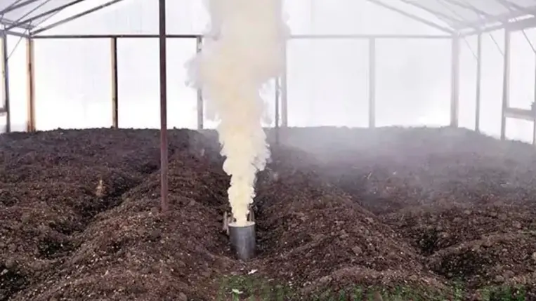 A következő szezonra történő felkészülés a közhiedelemmel ellentétben nem a palántaneveléssel kezdődik, hanem a fóliasátrak nagytakarításával.