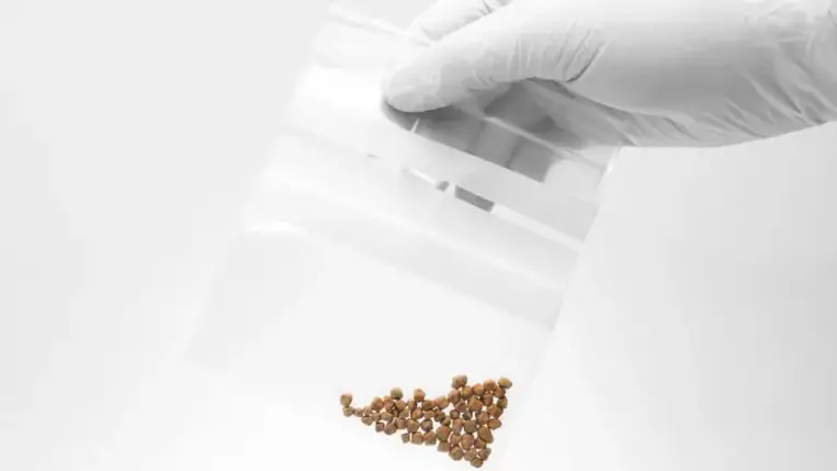 Melyek az epekő tünetei?