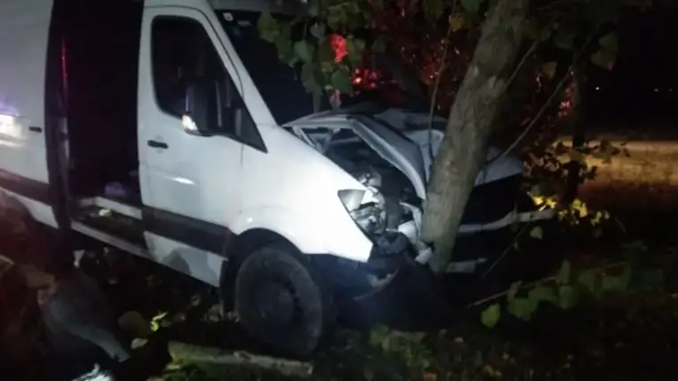 Harmincegy migránssal hajtott fának egy embercsempész