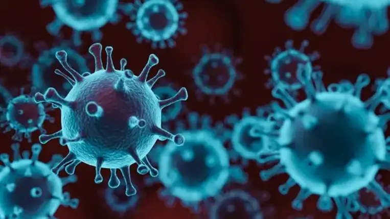 Az Oxford/AstraZeneca-oltás fejlesztői szerint idővel a náthavírushoz hasonlóvá szelídül az új típusú koronavírus