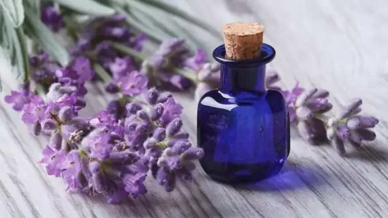 Természetes módszerek migrén ellen