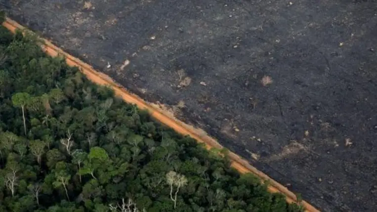 Az Amazonas-vidék esőerdeit veszélyezteti egy új illegális út