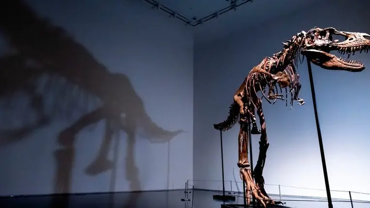 Több millió dollárért vett magának dinoszauruszt