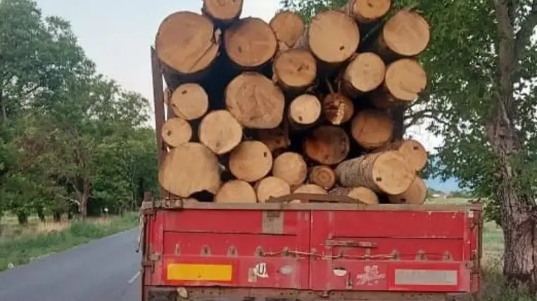 Egyszerre két teherautót foglaltak el a rendőrök Kárpátalján