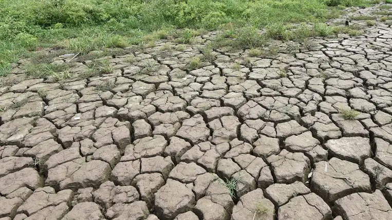 Az aszály negyedére zsugorította Kína legnagyobb édes vízi tavát