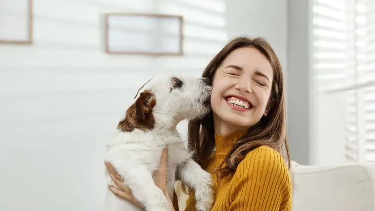 A kutyák is képesek örömkönnyekre