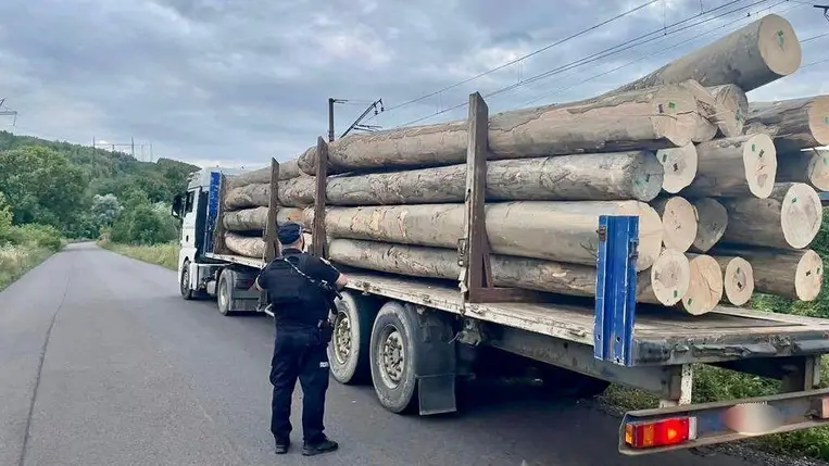 Illegális farakományt foglaltak le a kárpátaljai rendőrök