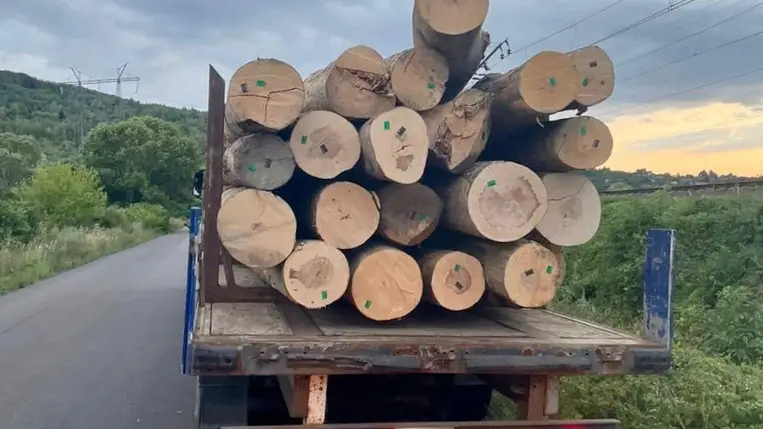 Illegális farakományt foglaltak le a kárpátaljai rendőrök