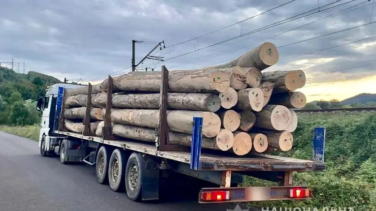 Illegális farakományt foglaltak le a kárpátaljai rendőrök