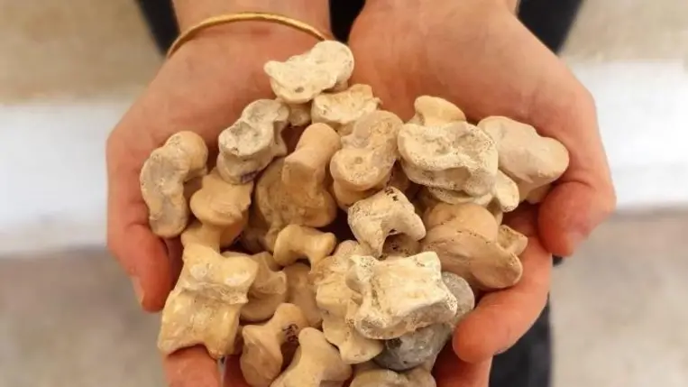 2300 éve ilyen csontokból készült játékból jósoltak