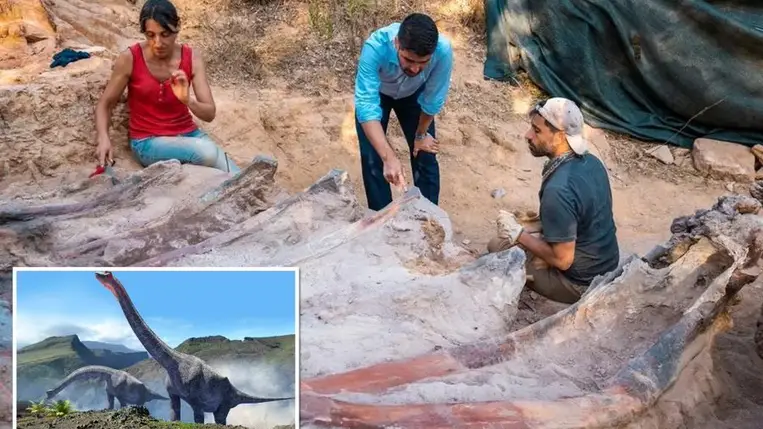 Huszonöt méter hosszú dinoszaurusz csontvázat találtak egy férfi hátsó kertjében
