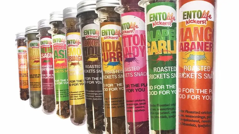 Az Európai Bizottság szerint meg kell tanulnunk rovarokat enni