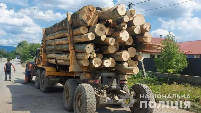 Kárpátalján illegálisan fát szállító teherautó került rendőrkézre