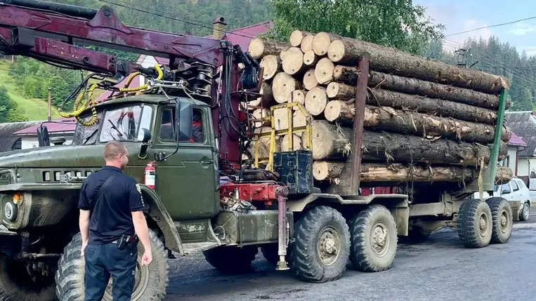 Újabb rönkfa szállítmányt foglaltak le Kárpátalján