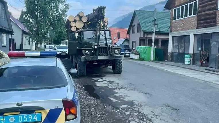 Újabb rönkfa szállítmányt foglaltak le Kárpátalján