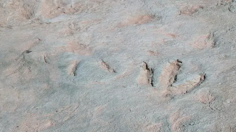 112 millió éves dinoszaurusznyomokat rongáltak meg