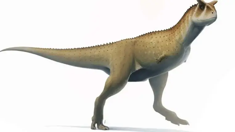 Eddig ismeretlen, „kar nélküli” dinoszauruszfajt fedeztek fel