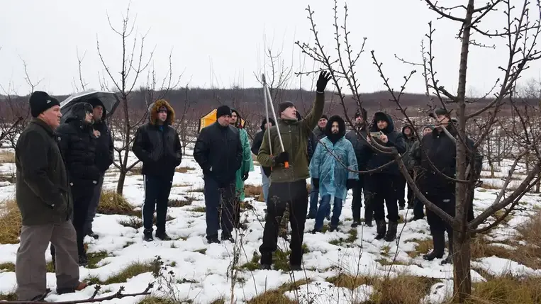 Metszésbemutató a Pro Agricultura Carpatika szervezésében
