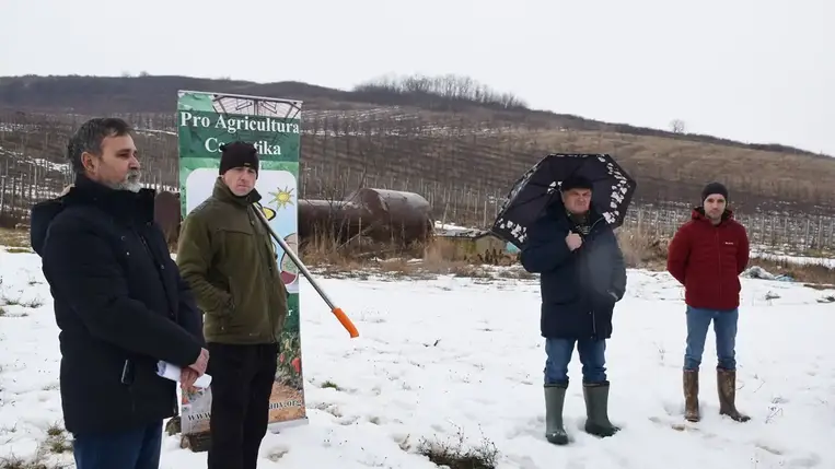 Metszésbemutató a Pro Agricultura Carpatika szervezésében