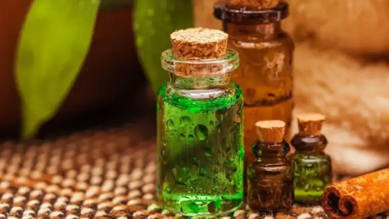 Teafaolaj: fertőtlenít és gyógyít