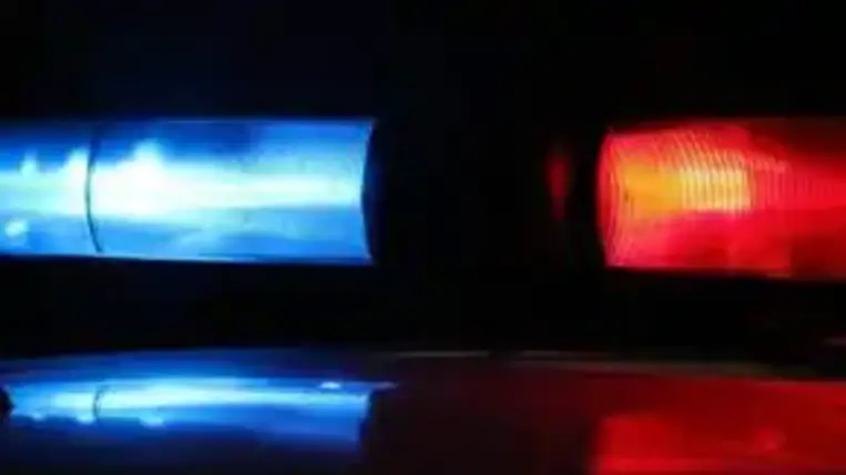 Száz év börtön vár arra a tinédzserre, aki kivégezte testvéreit