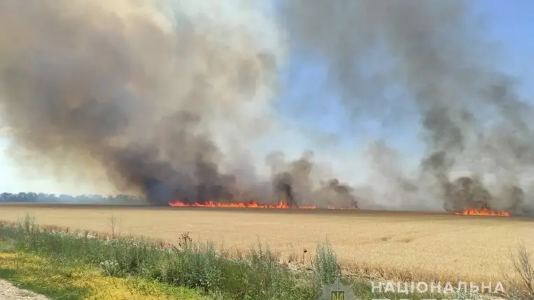 Herszon megyében több mint 200 hektárnyi termés pusztult el a támadások következtében